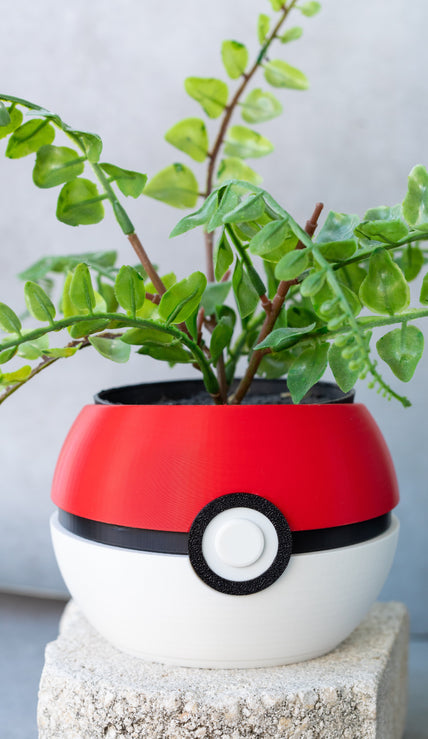 Pokémon