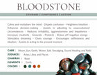 Bloodstone Gemstone Crystal Bracelet