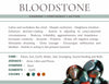 Bloodstone Gemstone Crystal Bracelet