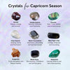 Capricorn Zodiac Gemstone Crystal Bracelet