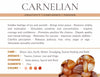 Carnelian Motivation Gemstone Crystal Bracelet