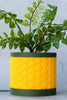 Mini Planters | Cute Small Plant Pots for Succulents| Desk Organizers & Decor