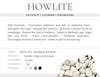 Howlite Gemstone Crystal Bracelet