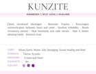 Kunzite Gemstone Crystal Bracelet