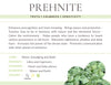 Prehnite | Dreams | Gemstone Crystal Bracelet