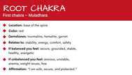 Root Chakra Gemstone Crystal Bracelet