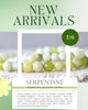 Serpentine Gemstone Crystal Bracelet