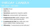 Throat Chakra Gemstone Crystal Bracelet