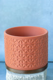 Mini Planters | Cute Small Plant Pots for Succulents| Desk Organizers & Decor