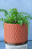 Mini Planters | Cute Small Plant Pots for Succulents| Desk Organizers & Decor
