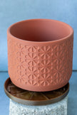 Mini Planters | Cute Small Plant Pots for Succulents| Desk Organizers & Decor