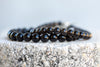 Golden Black Obsidian Protection Mirror Gemstone Crystal Bracelet